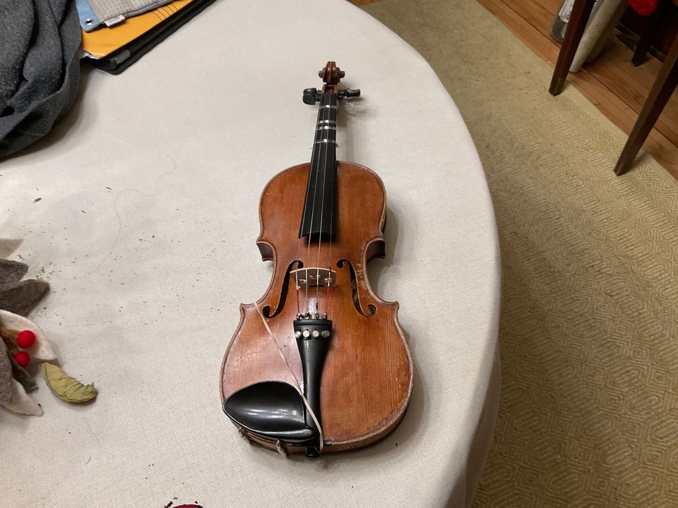 Violin 🎻